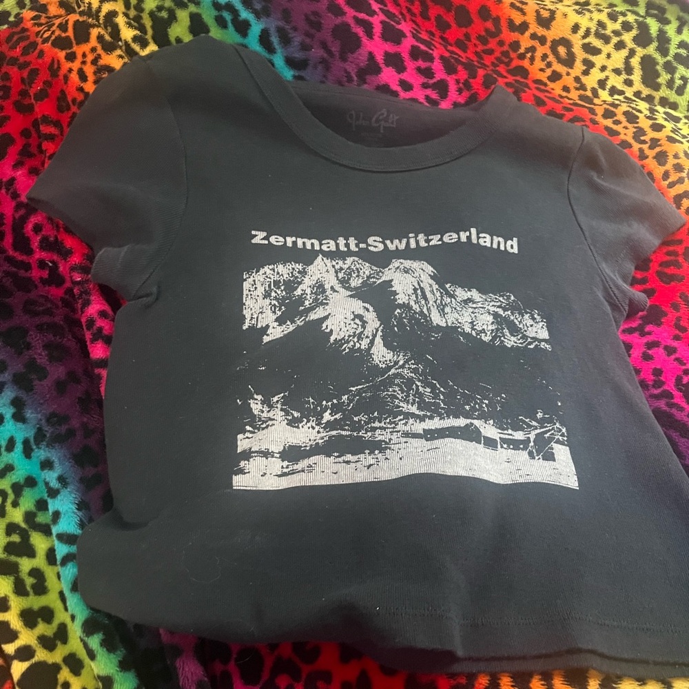 Zermatt-Switzerland crop top brandy Melville John galt pacsun
